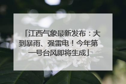 江西气象最新发布：大到暴雨、强雷电！今年第一号台风即将生成
