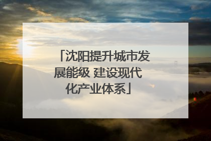 沈阳提升城市发展能级 建设现代化产业体系