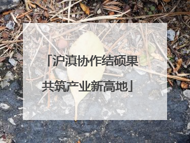沪滇协作结硕果 共筑产业新高地