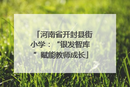 河南省开封县街小学：“银发智库”赋能教师成长