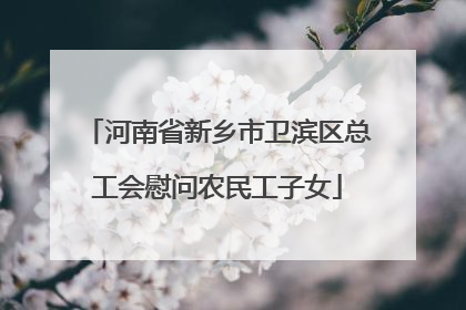 河南省新乡市卫滨区总工会慰问农民工子女