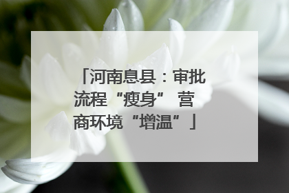 河南息县：审批流程“瘦身” 营商环境“增温”