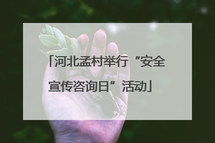 河北孟村举行“安全宣传咨询日”活动