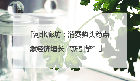 河北廊坊：消费势头稳点燃经济增长“新引擎”
