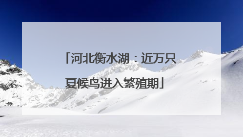 河北衡水湖：近万只夏候鸟进入繁殖期