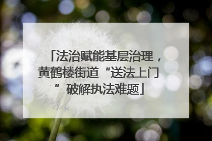法治赋能基层治理，黄鹤楼街道“送法上门”破解执法难题