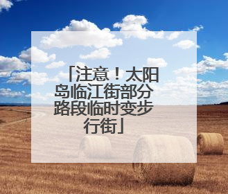 注意！太阳岛临江街部分路段临时变步行街