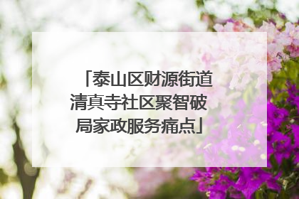 泰山区财源街道清真寺社区聚智破局家政服务痛点