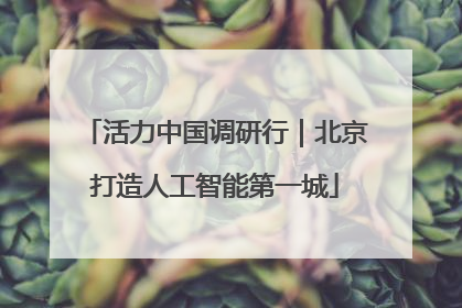 活力中国调研行｜北京打造人工智能第一城