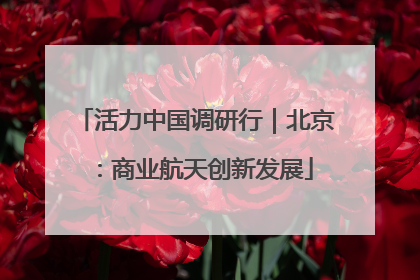活力中国调研行｜北京：商业航天创新发展