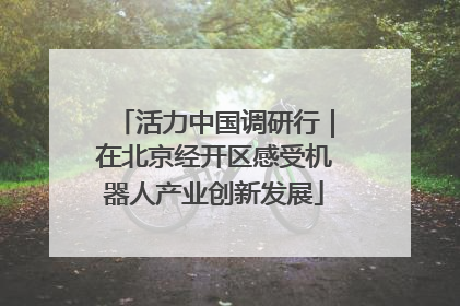 活力中国调研行｜在北京经开区感受机器人产业创新发展