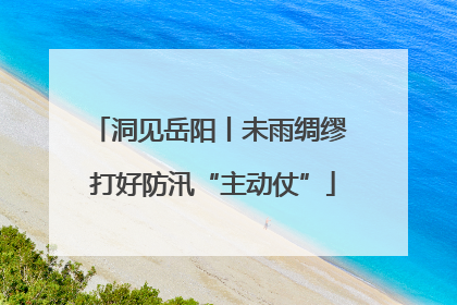 洞见岳阳丨未雨绸缪 打好防汛“主动仗”