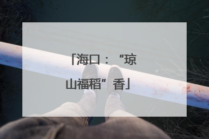 海口：“琼山福稻”香