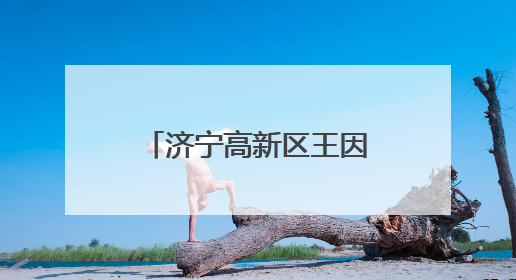 济宁高新区王因街道开展“美德信用”志愿服务