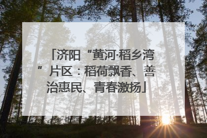 济阳“黄河·稻乡湾”片区：稻荷飘香、善治惠民、青春激扬