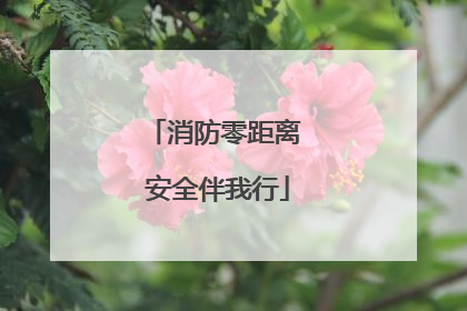 消防零距离 安全伴我行