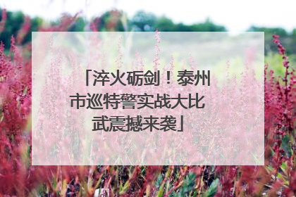 淬火砺剑！泰州市巡特警实战大比武震撼来袭