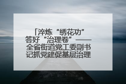 淬炼“绣花功” 答好“治理卷”——全省街道党工委副书记抓党建促基层治理培训示范班侧记