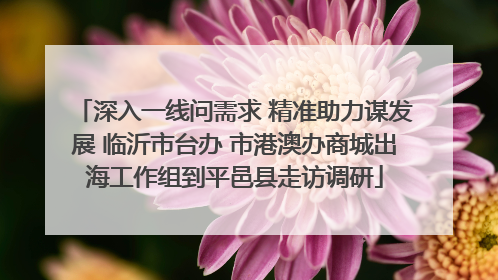 深入一线问需求 精准助力谋发展 临沂市台办 市港澳办商城出海工作组到平邑县走访调研