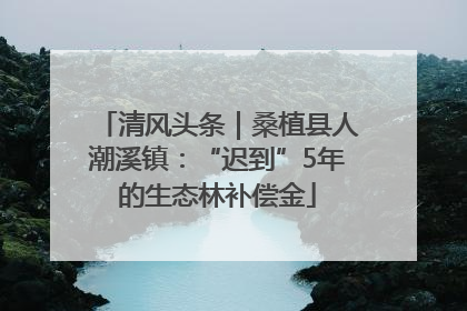 清风头条｜桑植县人潮溪镇：“迟到”5年的生态林补偿金