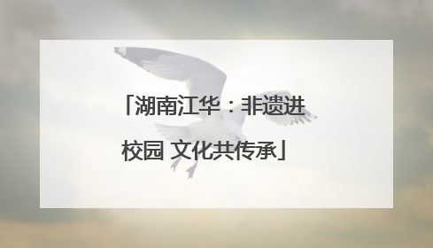 湖南江华：非遗进校园 文化共传承