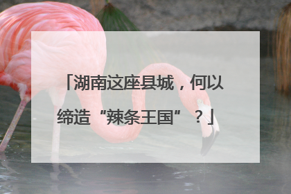 湖南这座县城，何以缔造“辣条王国”？
