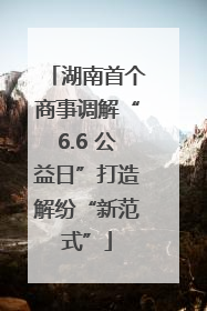 湖南首个商事调解“6.6 公益日”打造解纷“新范式”