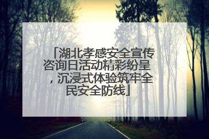 湖北孝感安全宣传咨询日活动精彩纷呈，沉浸式体验筑牢全民安全防线