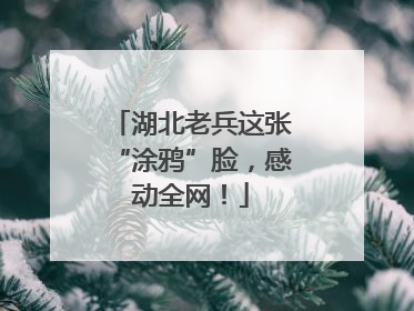 湖北老兵这张“涂鸦”脸，感动全网！