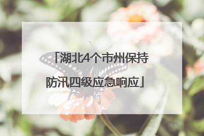 湖北4个市州保持防汛四级应急响应
