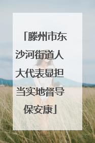 滕州市东沙河街道人大代表显担当实地督导保安康