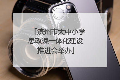 滨州市大中小学思政课一体化建设推进会举办