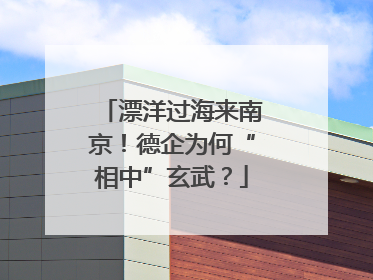 漂洋过海来南京！德企为何“相中”玄武？