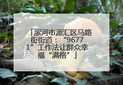 漯河市源汇区马路街街道：“96771”工作法让群众幸福“满格”