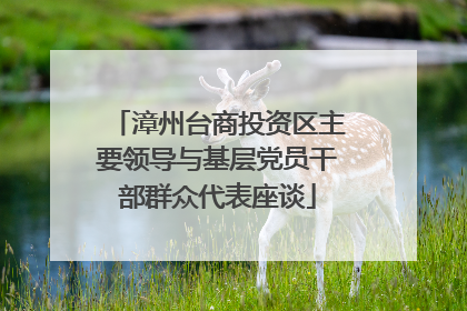 漳州台商投资区主要领导与基层党员干部群众代表座谈