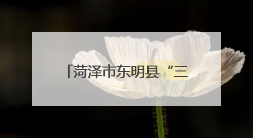 菏泽市东明县“三维联动”构建特色青少年护航体系