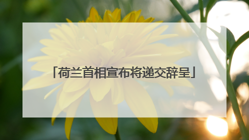 荷兰首相宣布将递交辞呈