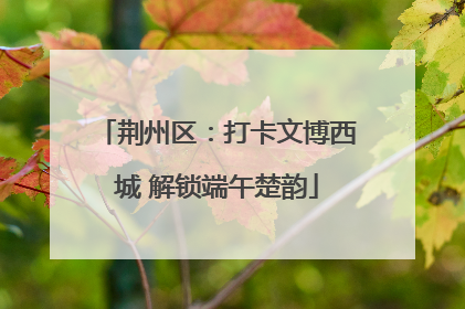 荆州区：打卡文博西城 解锁端午楚韵
