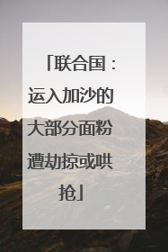 联合国：运入加沙的大部分面粉遭劫掠或哄抢