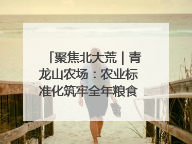 聚焦北大荒｜青龙山农场：农业标准化筑牢全年粮食安全根基
