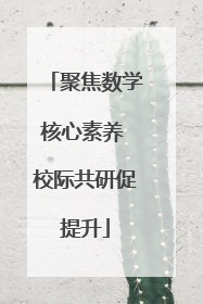 聚焦数学核心素养 校际共研促提升