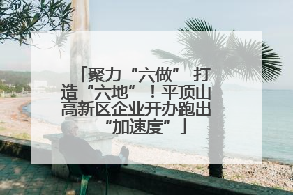 聚力“六做” 打造“六地”！平顶山高新区企业开办跑出“加速度”