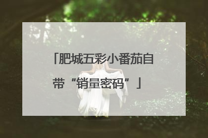 肥城五彩小番茄自带“销量密码”