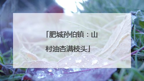 肥城孙伯镇：山村油杏满枝头