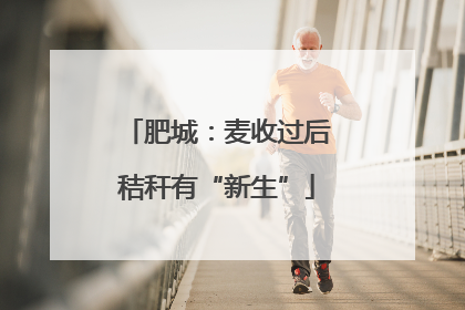 肥城：麦收过后秸秆有“新生”