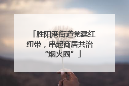 胜阳港街道党建红纽带，串起商居共治 “烟火圈”
