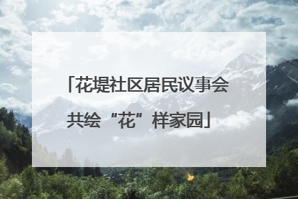 花堤社区居民议事会共绘“花”样家园