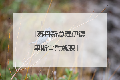 苏丹新总理伊德里斯宣誓就职
