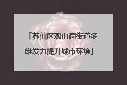苏仙区观山洞街道多维发力提升城市环境