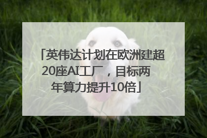 英伟达计划在欧洲建超20座AI工厂，目标两年算力提升10倍